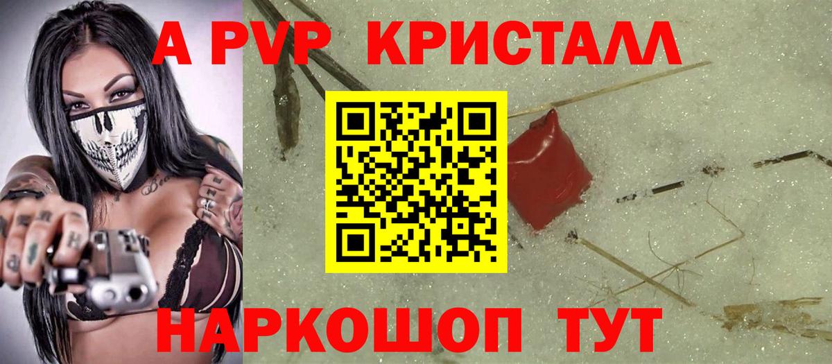A PVP СК КРИС Новороссийск